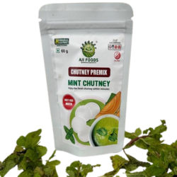 Chutney Premix - Mint Chutney 50g